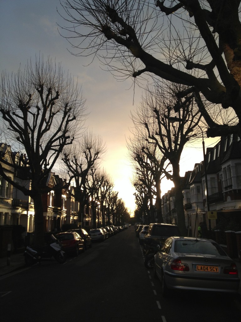 The light is getting stronger as we head into Spring. Evenings on our street are exquisite.