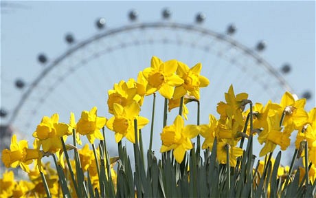 london sunshine