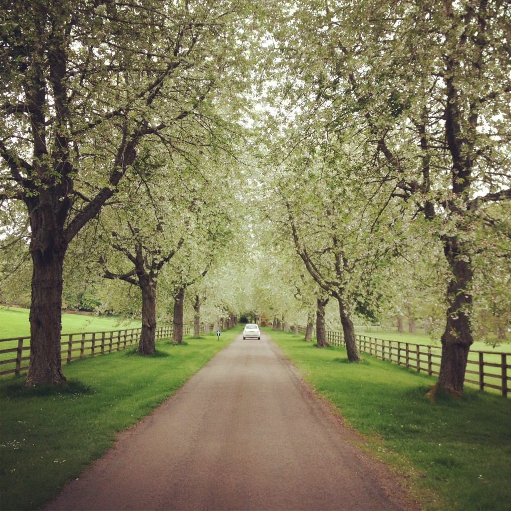 How cool is this photo? it's the driveway leading to Cawder Castle in Inverness. Beautiful.