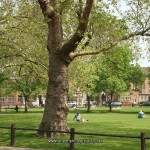 Parsons Green, Fulham, Greater London, UK